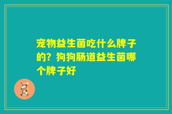 宠物益生菌吃什么牌子的？狗狗肠道益生菌哪个牌子好