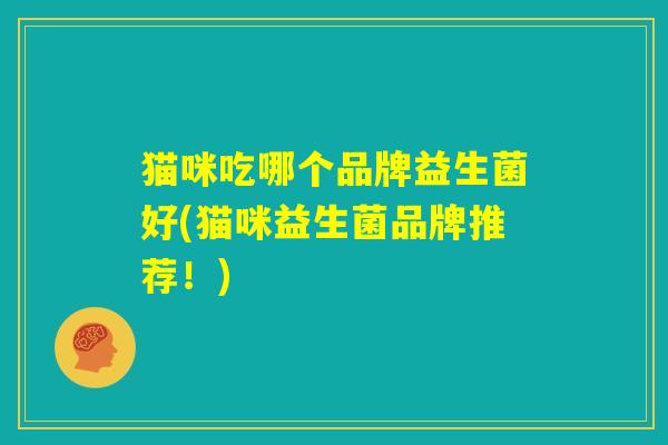 猫咪吃哪个品牌益生菌好(猫咪益生菌品牌推荐！)