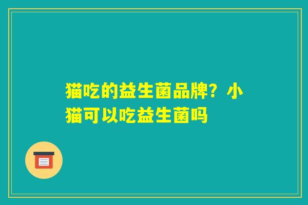 猫吃的益生菌品牌？小猫可以吃益生菌吗