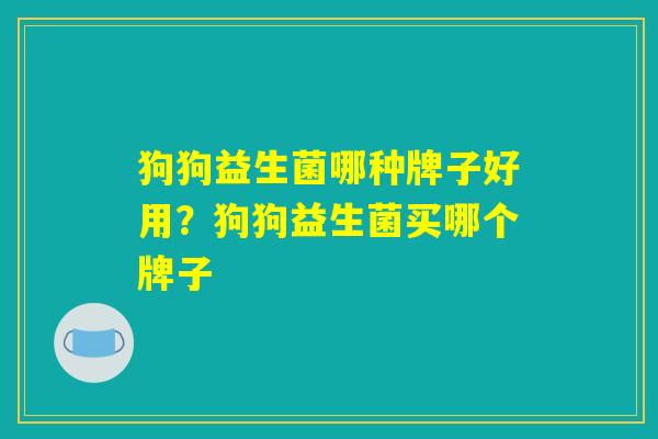 狗狗益生菌哪种牌子好用？狗狗益生菌买哪个牌子