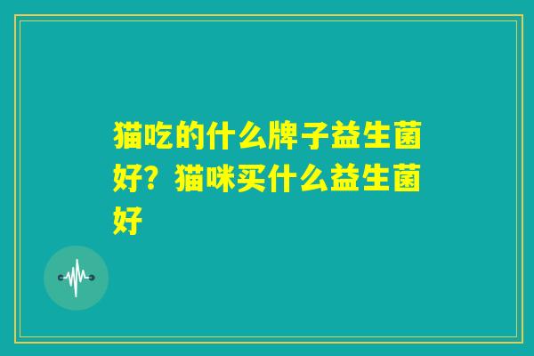 猫吃的什么牌子益生菌好？猫咪买什么益生菌好