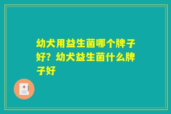 幼犬用益生菌哪个牌子好？幼犬益生菌什么牌子好