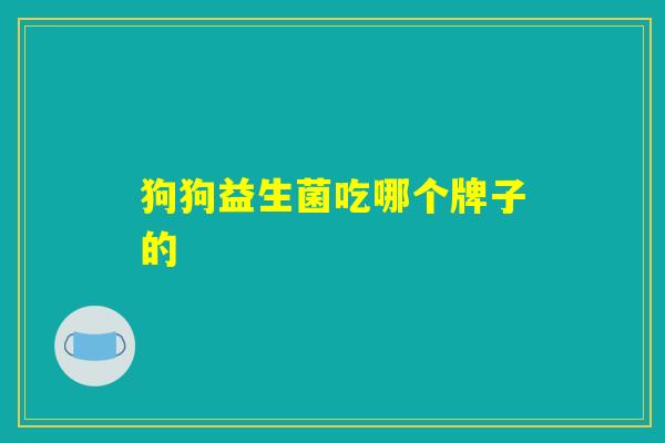 狗狗益生菌吃哪个牌子的