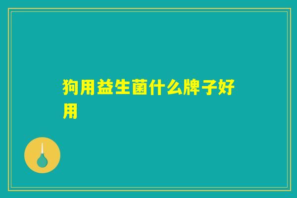 狗用益生菌什么牌子好用