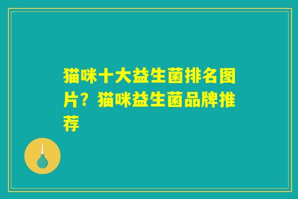 猫咪十大益生菌排名图片？猫咪益生菌品牌推荐