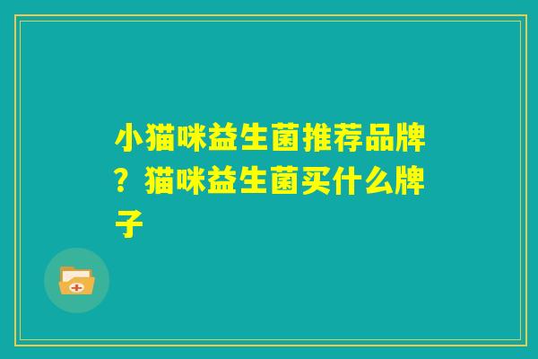 小猫咪益生菌推荐品牌？猫咪益生菌买什么牌子