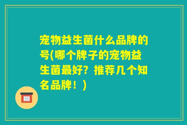 宠物益生菌什么品牌的号(哪个牌子的宠物益生菌最好？推荐几个知名品牌！)