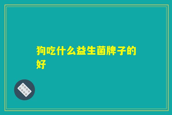 狗吃什么益生菌牌子的好