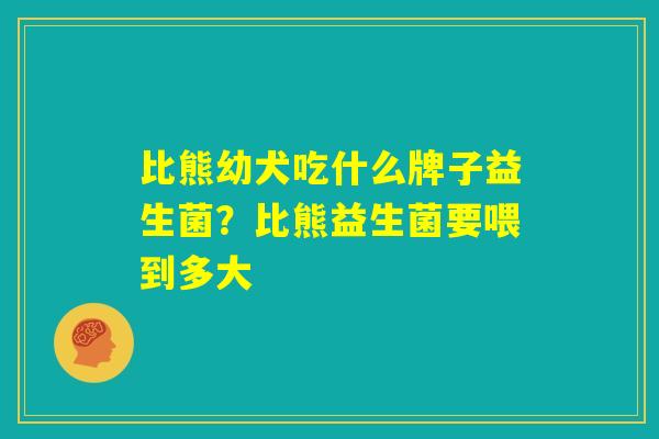 比熊幼犬吃什么牌子益生菌？比熊益生菌要喂到多大