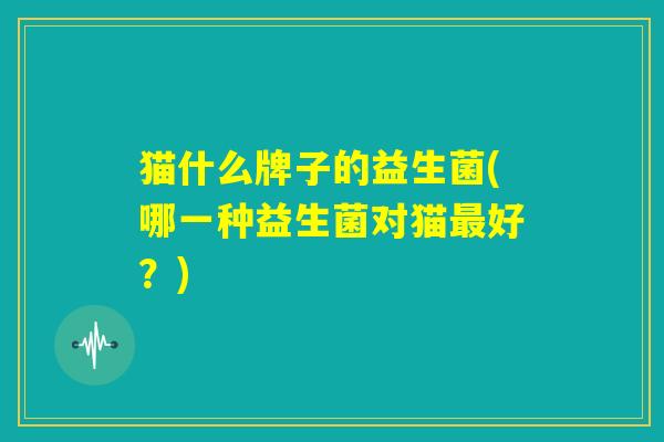 猫什么牌子的益生菌(哪一种益生菌对猫最好？)