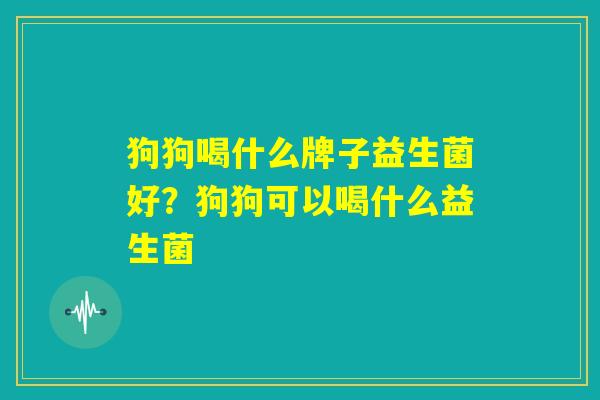 狗狗喝什么牌子益生菌好?狗狗可以喝什么益生菌 狗狗喝什么牌子益生菌好?狗狗可以喝什么益生菌