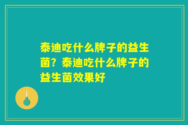 泰迪吃什么牌子的益生菌？泰迪吃什么牌子的益生菌效果好