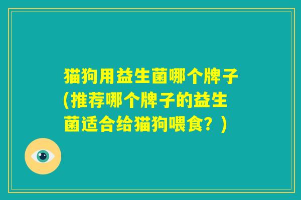 猫狗用益生菌哪个牌子(推荐哪个牌子的益生菌适合给猫狗喂食？)