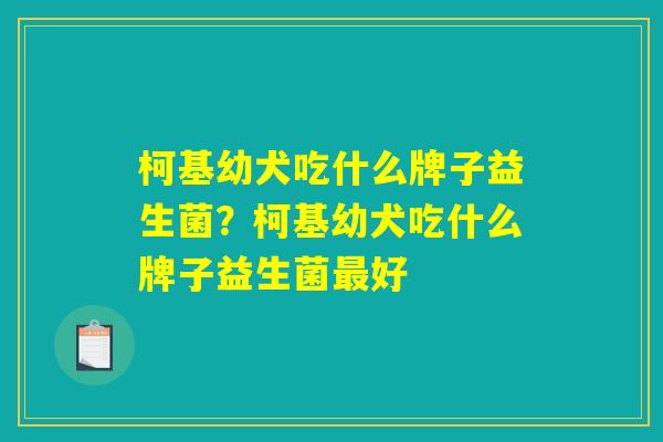 柯基幼犬吃什么牌子益生菌？柯基幼犬吃什么牌子益生菌最好