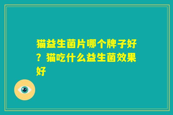 猫益生菌片哪个牌子好？猫吃什么益生菌效果好