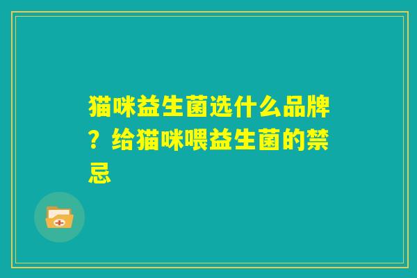 猫咪益生菌选什么品牌？给猫咪喂益生菌的禁忌