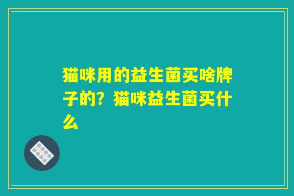 猫咪用的益生菌买啥牌子的？猫咪益生菌买什么