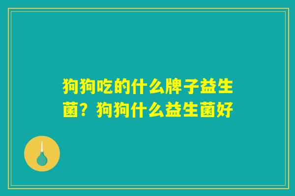 狗狗吃的什么牌子益生菌？狗狗什么益生菌好