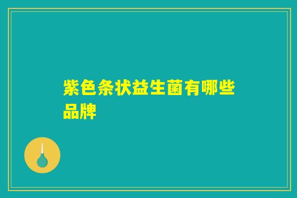 紫色条状益生菌有哪些品牌