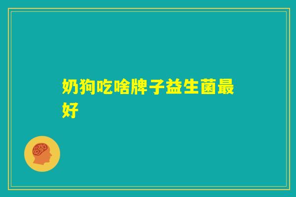 奶狗吃啥牌子益生菌最好