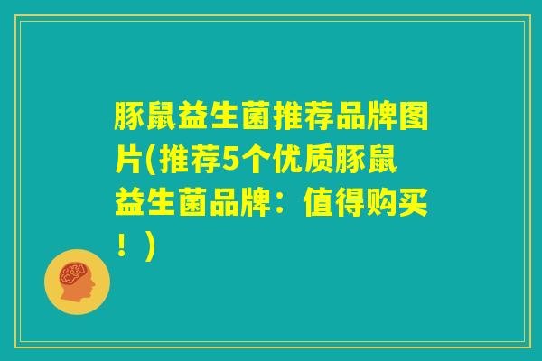 豚鼠益生菌推荐品牌图片(推荐5个优质豚鼠益生菌品牌:值得购买!) 豚鼠益生菌推荐品牌图片(推荐5个优质豚鼠益生菌品牌:值得购买!)