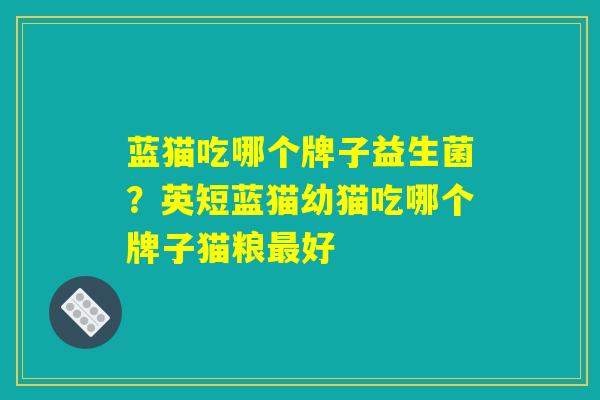 蓝猫吃哪个牌子益生菌？英短蓝猫幼猫吃哪个牌子猫粮最好