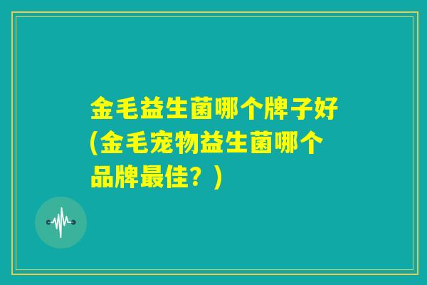 金毛益生菌哪个牌子好(金毛宠物益生菌哪个品牌最佳？)