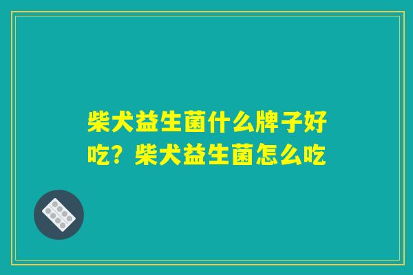 柴犬益生菌什么牌子好吃？柴犬益生菌怎么吃
