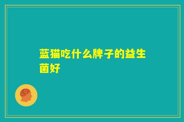 蓝猫吃什么牌子的益生菌好