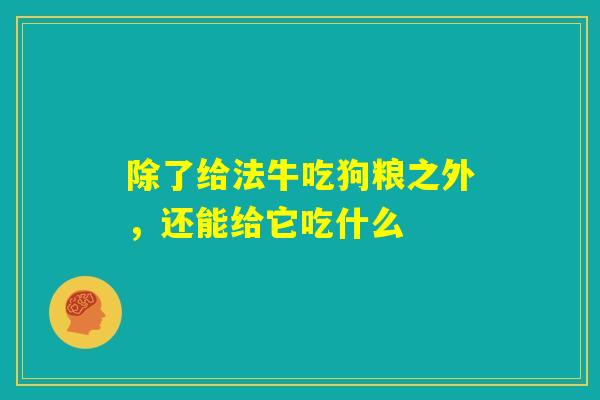 除了给法牛吃狗粮之外,还能给它吃什么 除了给法牛吃狗粮之外,还能给它吃什么