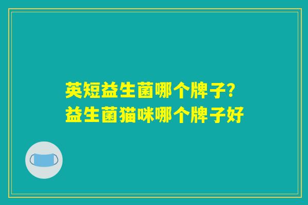 英短益生菌哪个牌子?益生菌猫咪哪个牌子好 英短益生菌哪个牌子?益生菌猫咪哪个牌子好