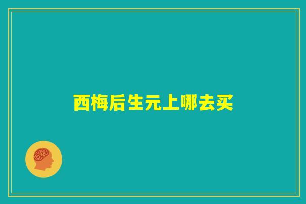 西梅后生元上哪去买