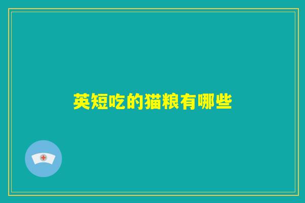 英短吃的猫粮有哪些
