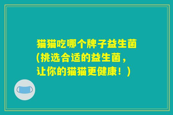 猫猫吃哪个牌子益生菌(挑选合适的益生菌，让你的猫猫更健康！)
