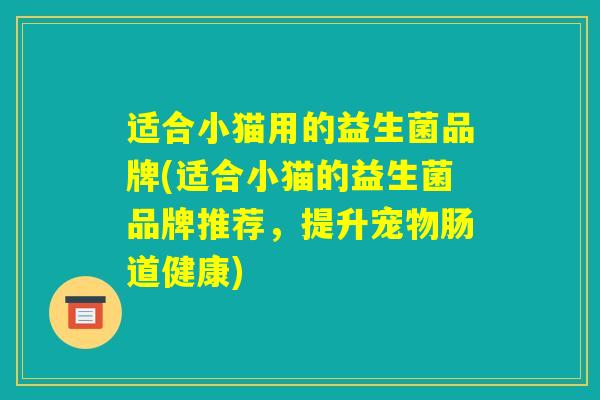 适合小猫用的益生菌品牌(适合小猫的益生菌品牌推荐，提升宠物肠道健康)
