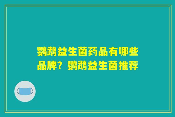 鹦鹉益生菌药品有哪些品牌？鹦鹉益生菌推荐
