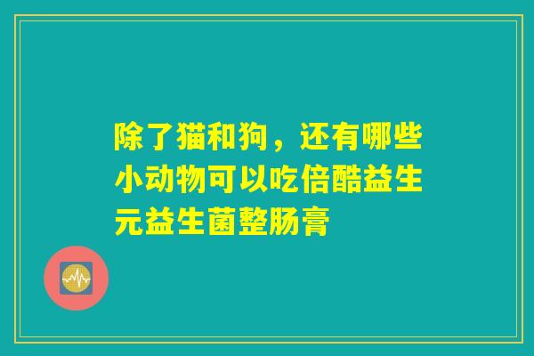 除了猫和狗，还有哪些小动物可以吃倍酷益生元益生菌整肠膏