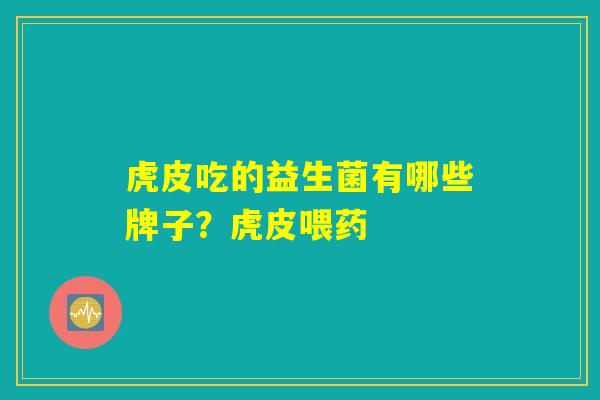 虎皮吃的益生菌有哪些牌子？虎皮喂药