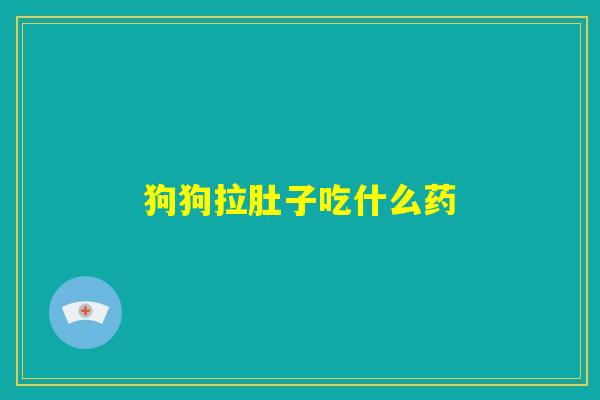 狗狗拉肚子吃什么药