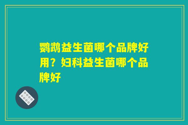 鹦鹉益生菌哪个品牌好用？妇科益生菌哪个品牌好