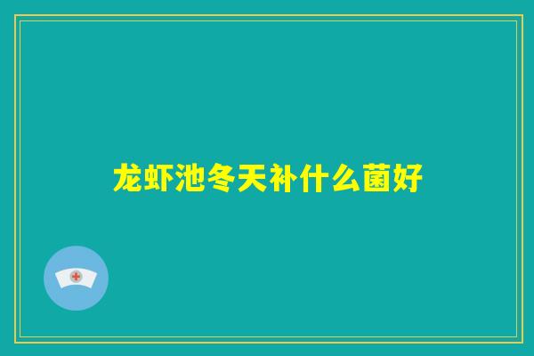 龙虾池冬天补什么菌好