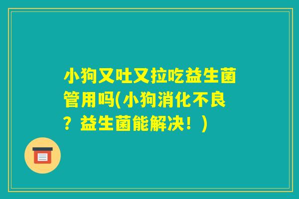 小狗又吐又拉吃益生菌管用吗(小狗消化不良？益生菌能解决！)