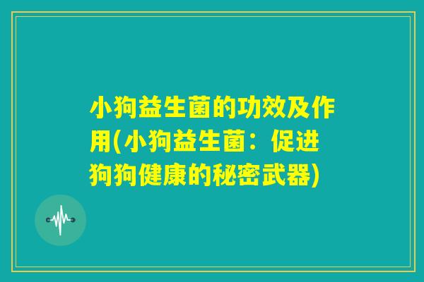小狗益生菌的功效及作用(小狗益生菌：促进狗狗健康的秘密武器)