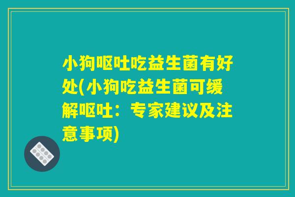 小狗呕吐吃益生菌有好处(小狗吃益生菌可缓解呕吐：专家建议及注意事项)