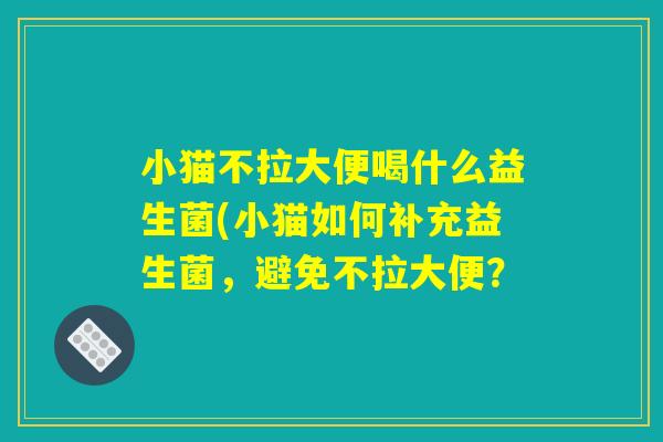小猫不拉大便喝什么益生菌(小猫如何补充益生菌，避免不拉大便？