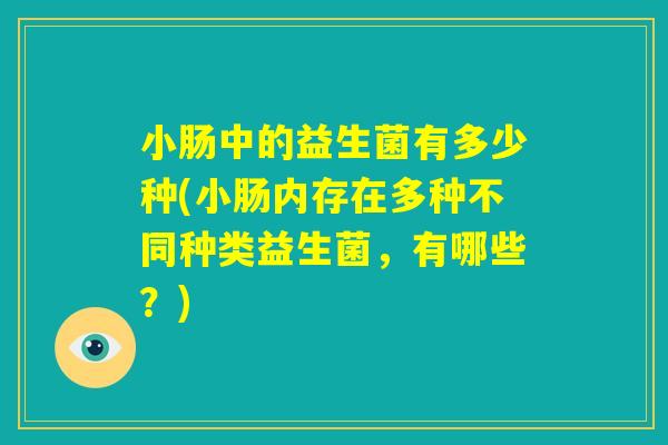 小肠中的益生菌有多少种(小肠内存在多种不同种类益生菌，有哪些？)