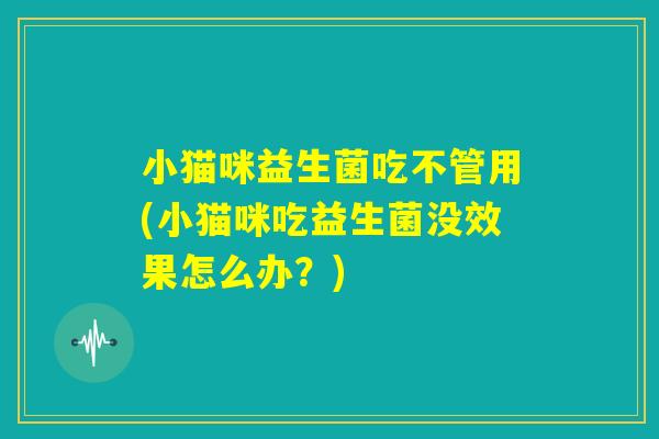 小猫咪益生菌吃不管用(小猫咪吃益生菌没效果怎么办？)