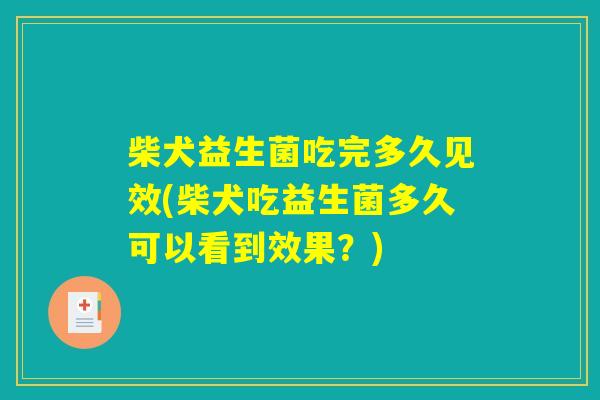 柴犬益生菌吃完多久见效(柴犬吃益生菌多久可以看到效果？)
