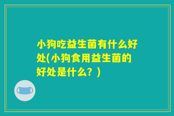小狗吃益生菌有什么好处(小狗食用益生菌的好处是什么？)