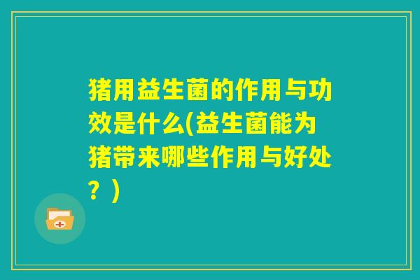 猪用益生菌的作用与功效是什么(益生菌能为猪带来哪些作用与好处？)